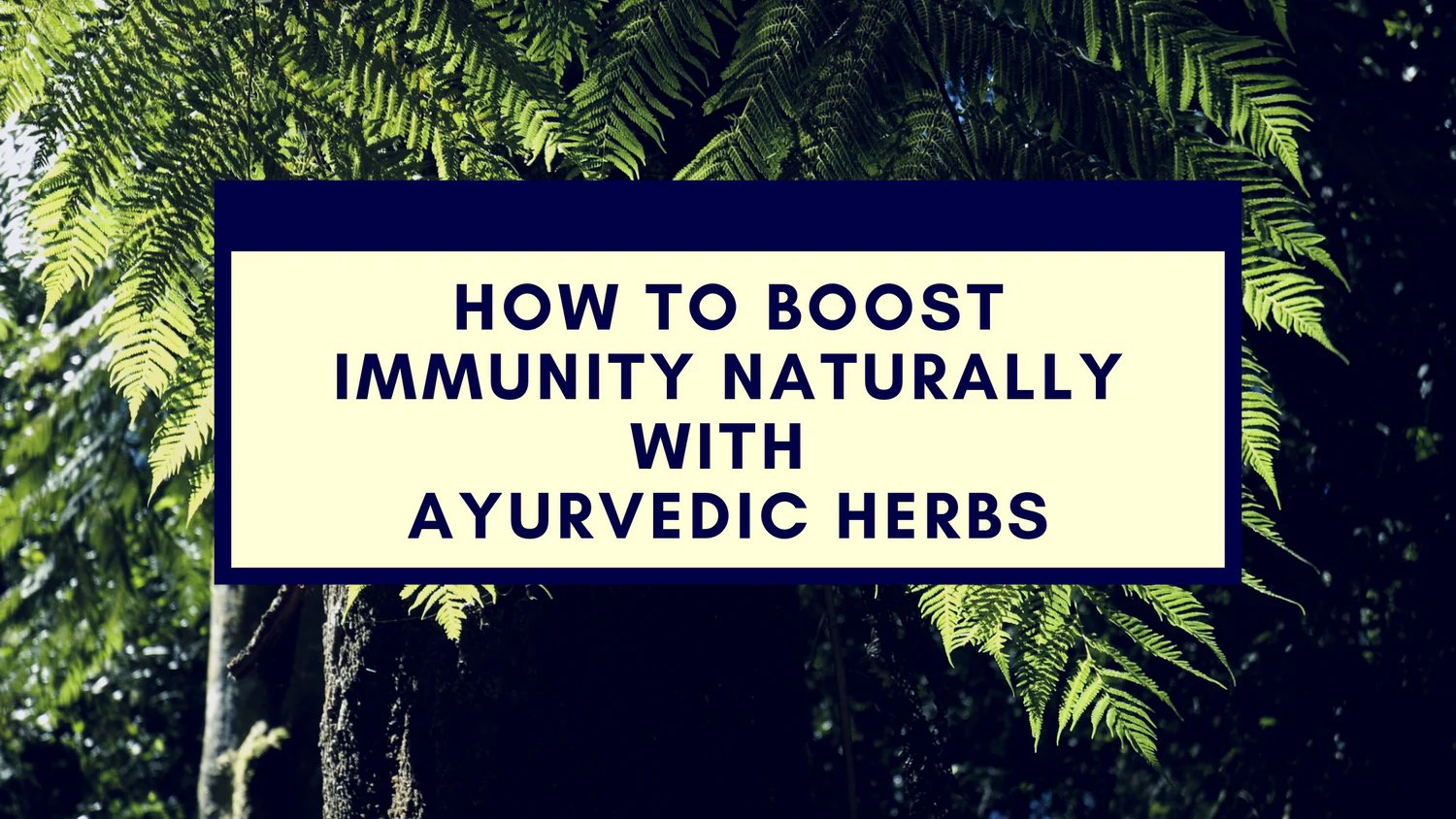 HOW_TO_BOOST_IMMUNITY_NATURALLY