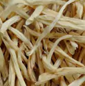 सफेद मूसली.webp