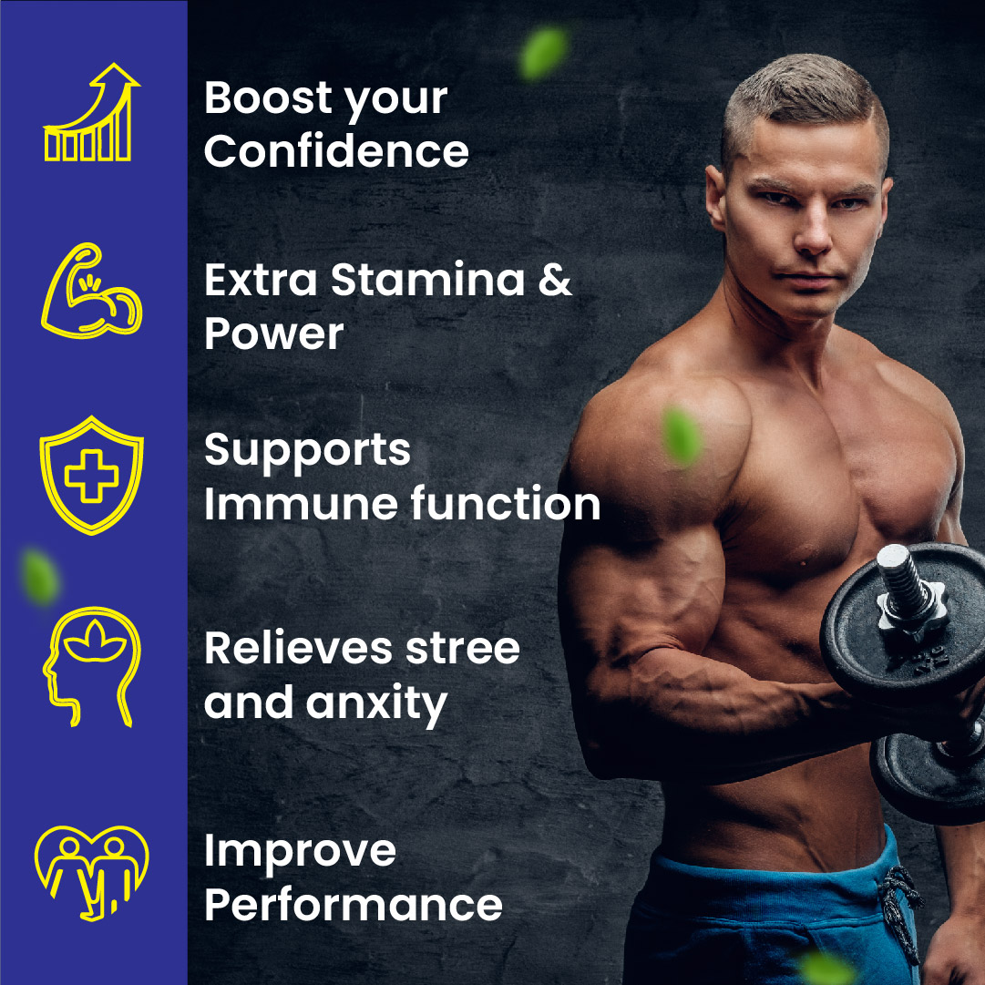 Men Wellness Capsule 30s 5